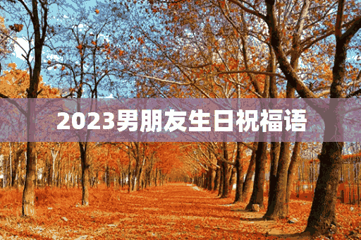 2023男朋友生日祝福语(2023男朋友生日祝福语简单)